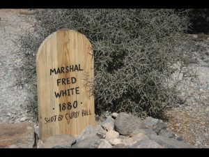 photo shows the wooden tombstone of fred white